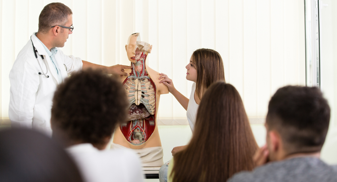 Heilpraktiker Ausbildung
